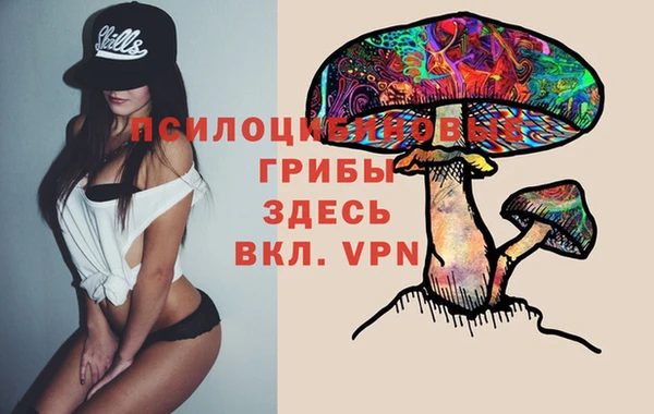 синтетический гашиш Алексин