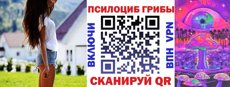 blacksprut зеркало Ахтырский Псилоцибиновые грибы MAGIC MUSHROOMS